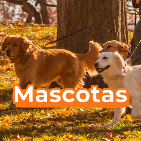 Mascotas